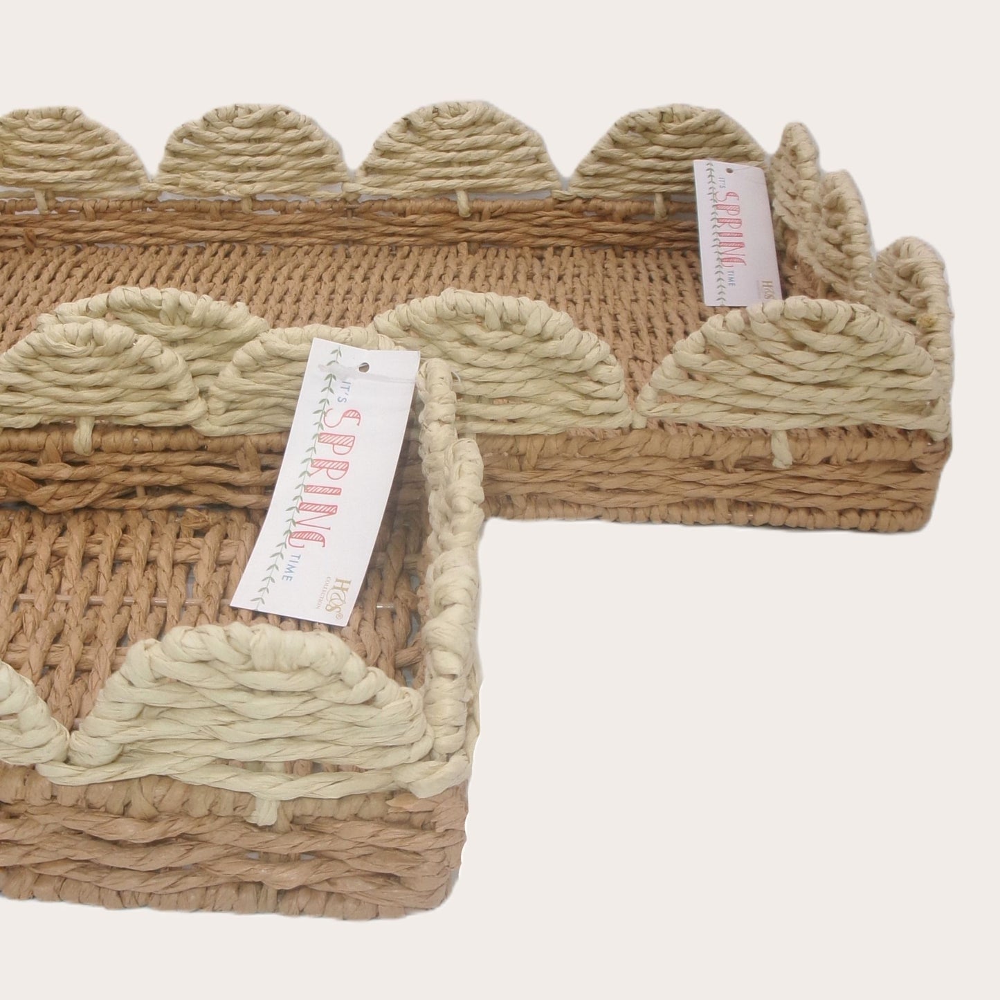 Set of 2 Woven Rectangular Shaped Tray Assorted Colours Home Décor