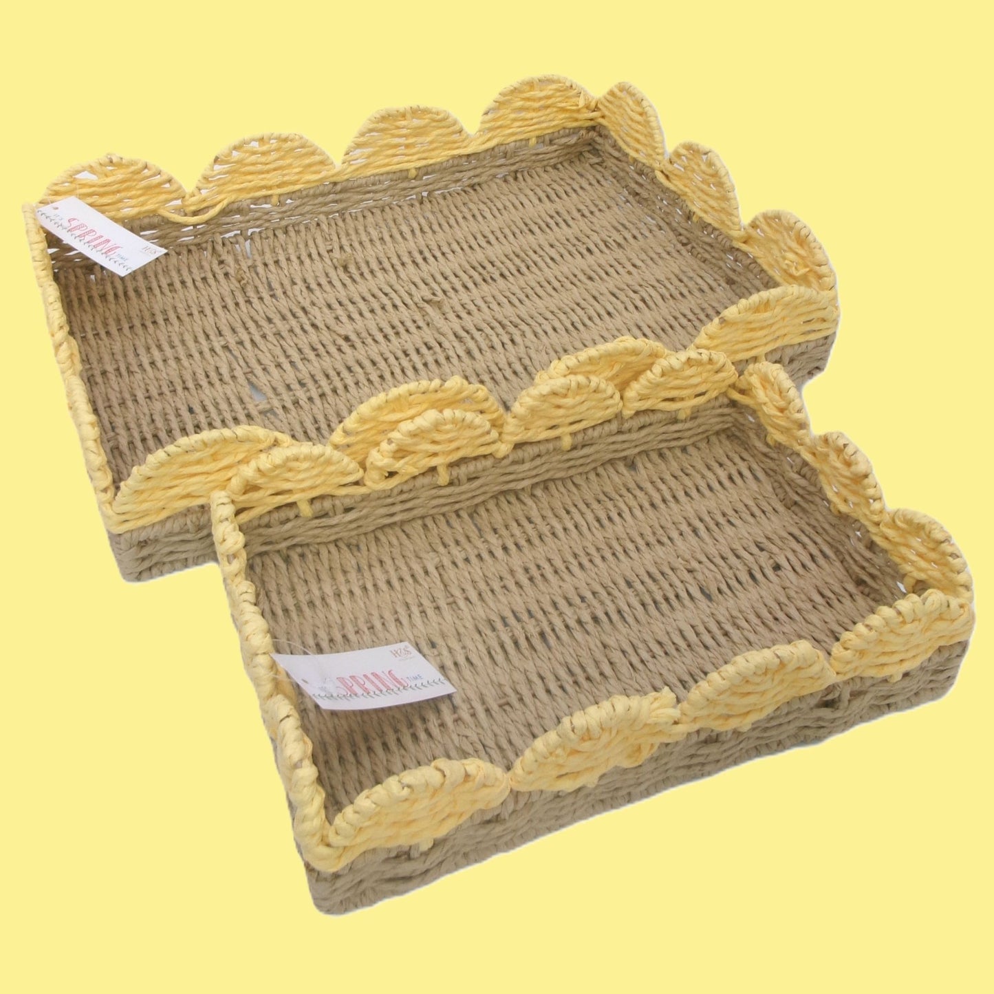 Set of 2 Woven Rectangular Shaped Tray Assorted Colours Home Décor