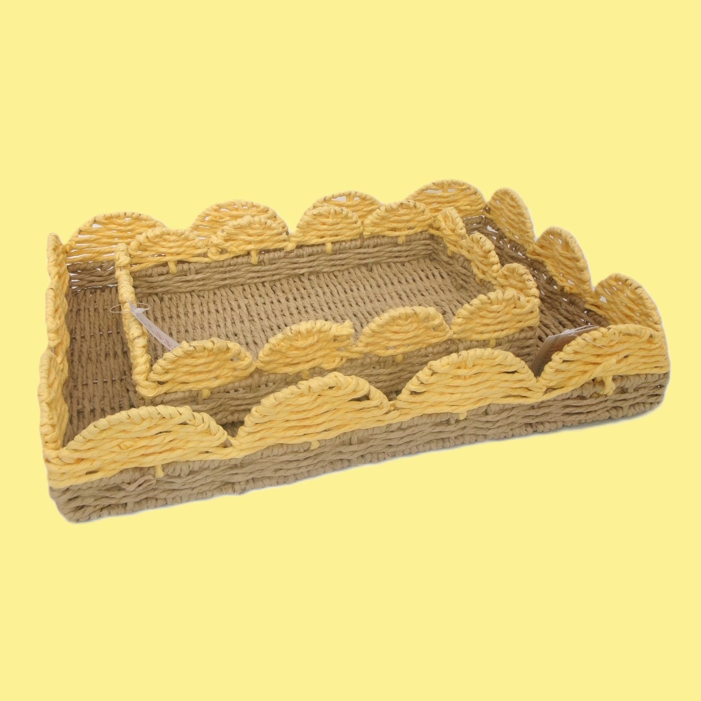 Set of 2 Woven Rectangular Shaped Tray Assorted Colours Home Décor