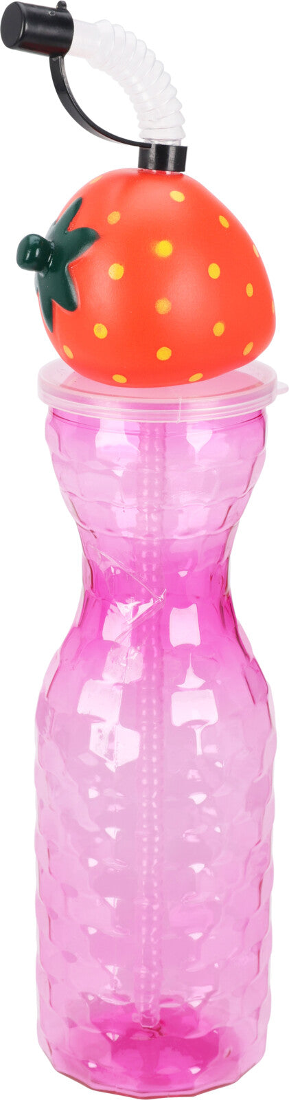 Assorted Drinks Water Travel Bottle with Fruit Design and Straw 500ml