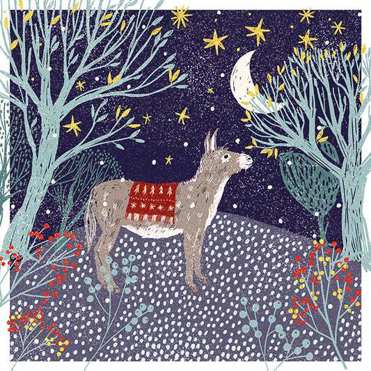 Moonlit Donkey