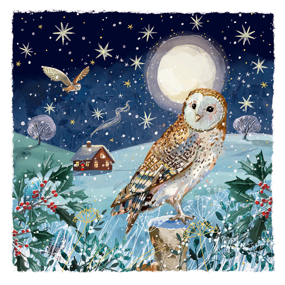 Nighttime Owls