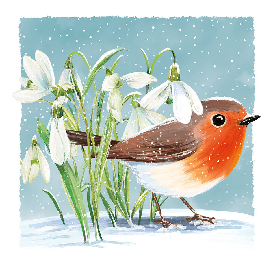 Snowdrop Robin