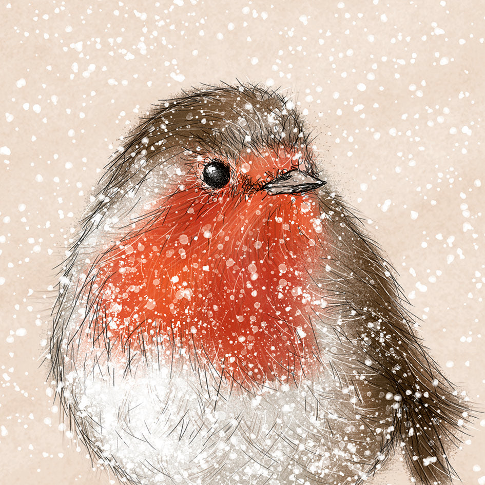 Snowy Robin