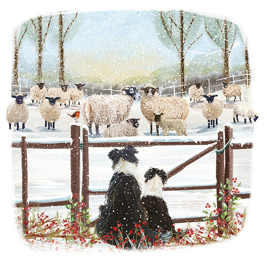 Watching the Flock