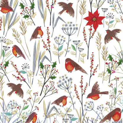 Picture of Robin Pattern