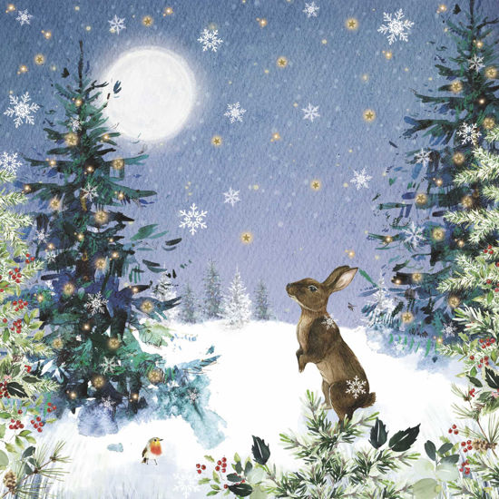 Picture of Hares Moonlight Scene